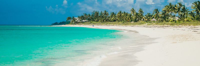 Traliard_'s profile banner image