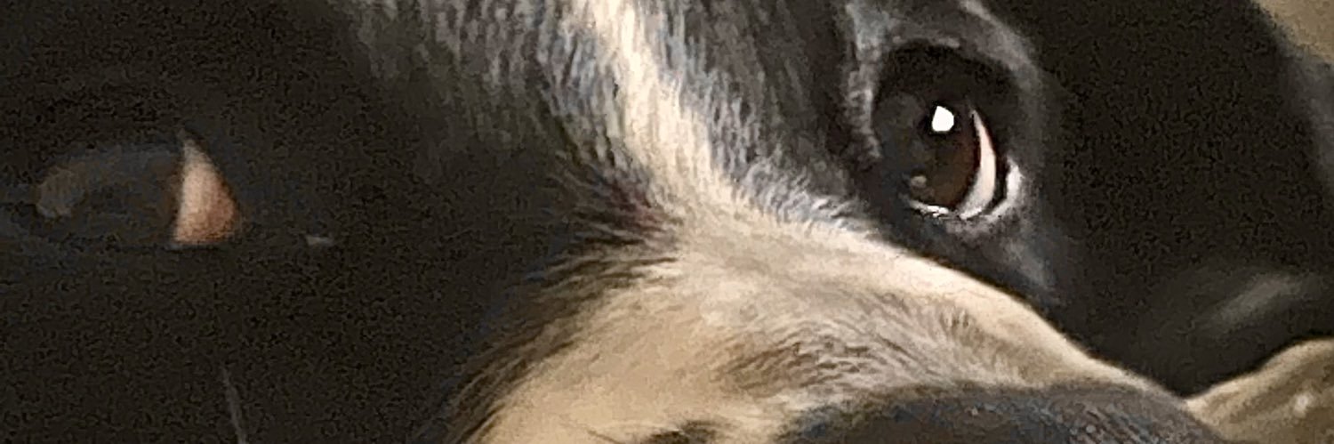 ChaseMCully's profile banner image