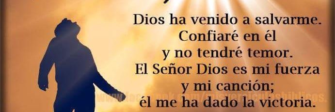 MariadeJesus712's profile banner image