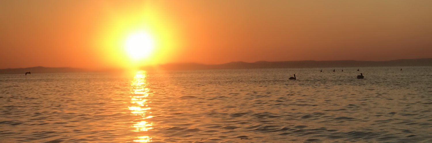 fanycorral23's profile banner image