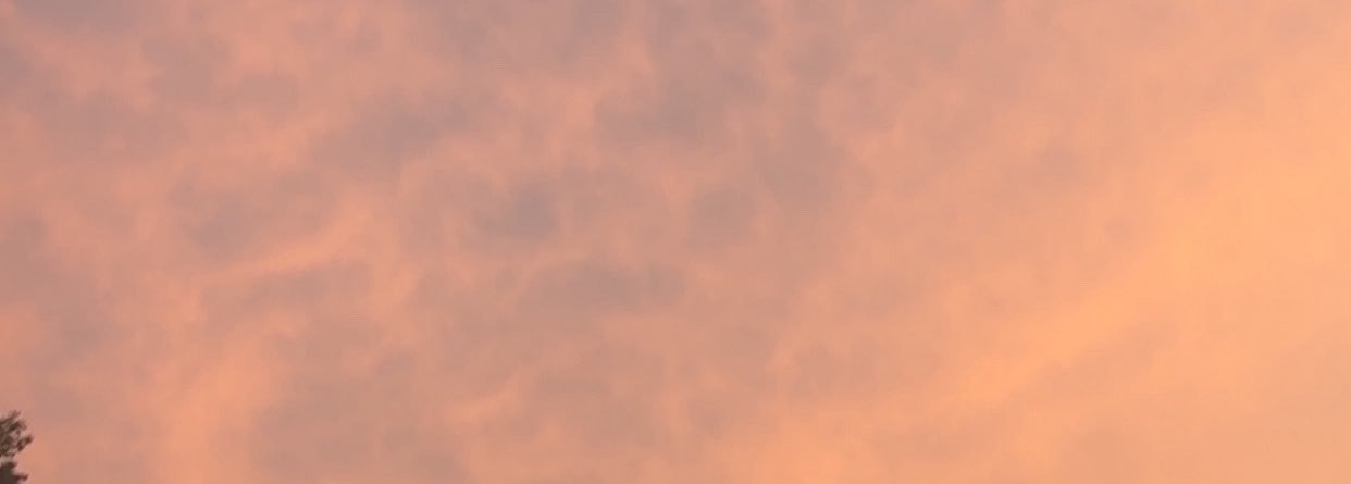 Renee___121's profile banner image