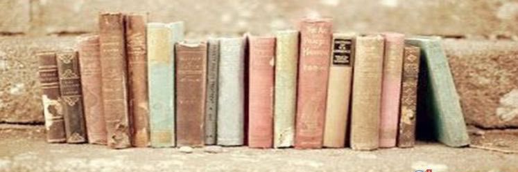 maciewenner's profile banner image