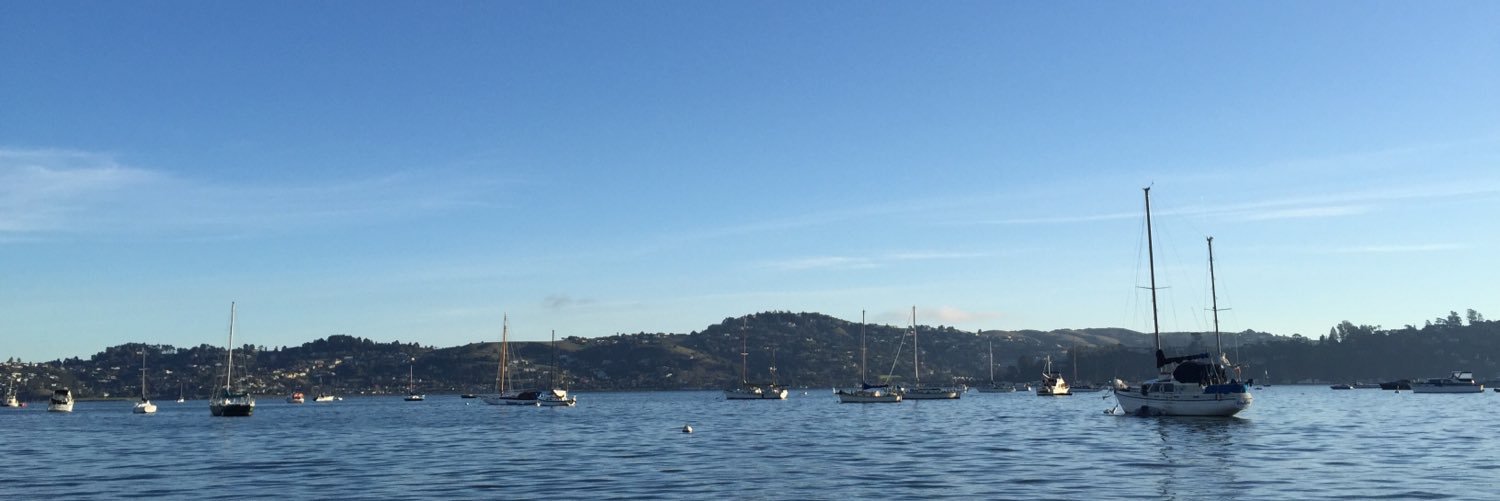 Nadyne Richmond banner