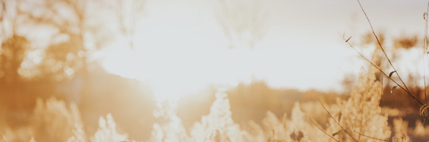 g_ami30's profile banner image