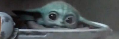 Patient Miami Fan EST 2007 banner