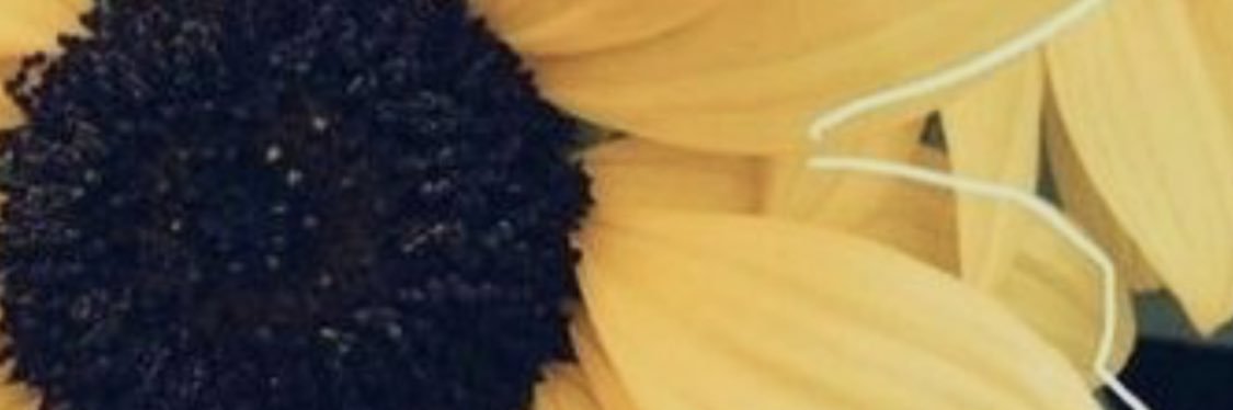 aalondravc's profile banner image