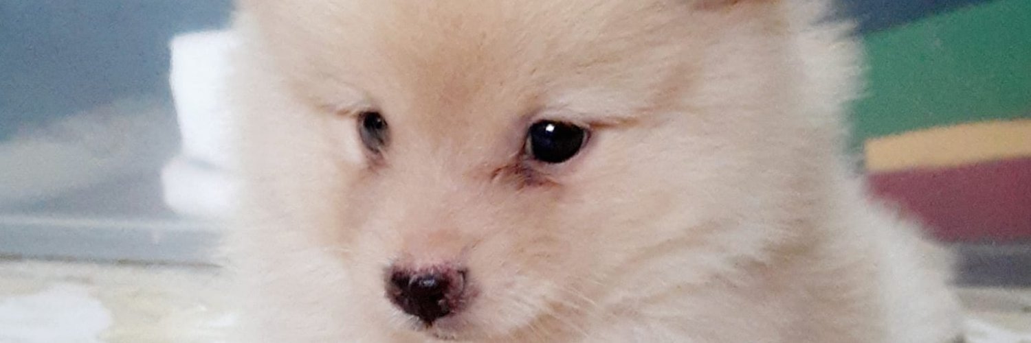 ItsmeNickeyy's profile banner image