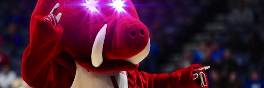 CyberMax 🌊🐗🐾🐶🌊🇺🇸 banner