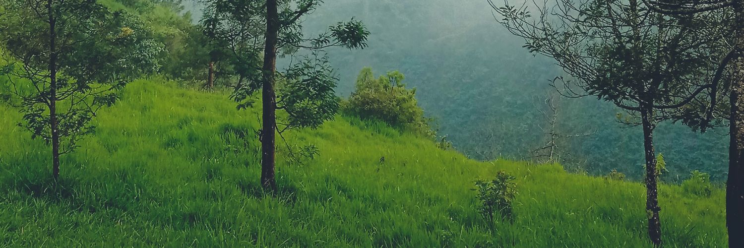 mocky456's profile banner image