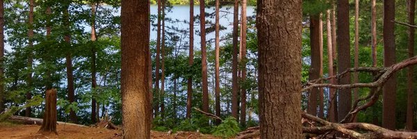 2x4caster Profile Banner