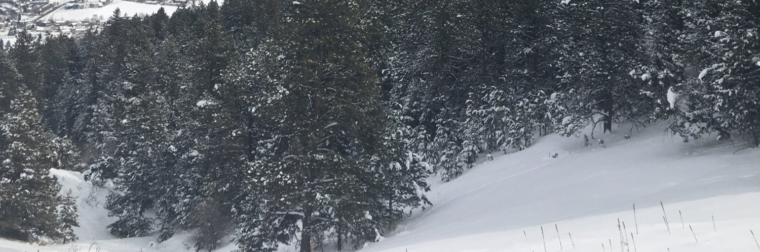 ThatManTD's profile banner image