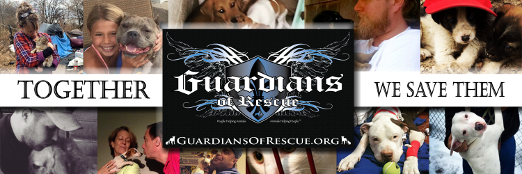 Guardians of Rescue banner