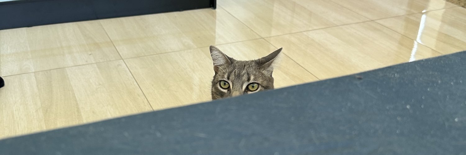 Ms. 20 Something 🇵🇸 banner