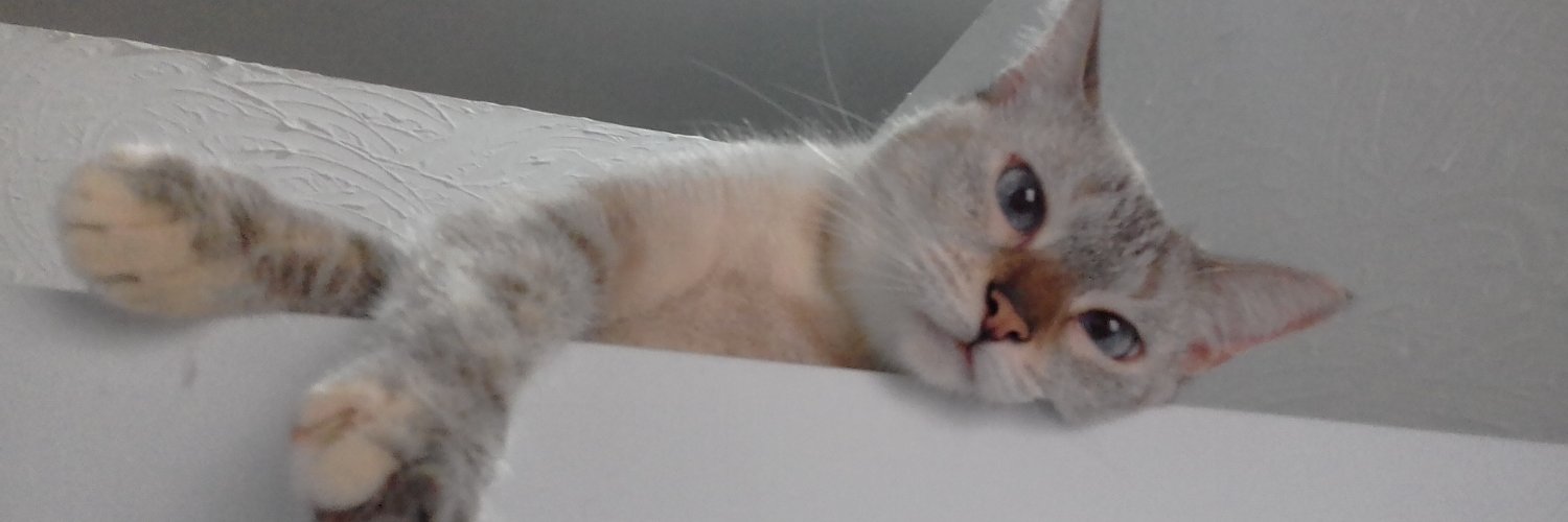 RITAVENANCIO's profile banner image