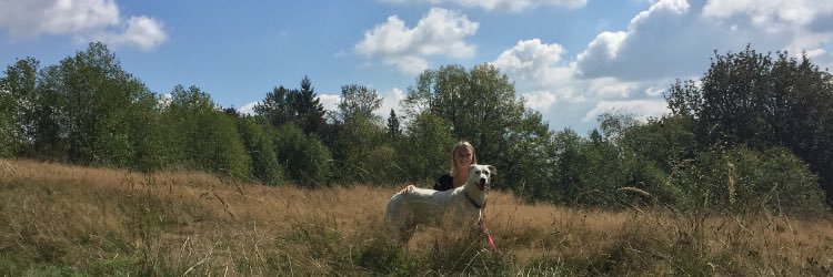 julia_welsh's profile banner image