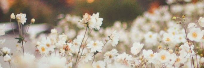 (-..-*) banner