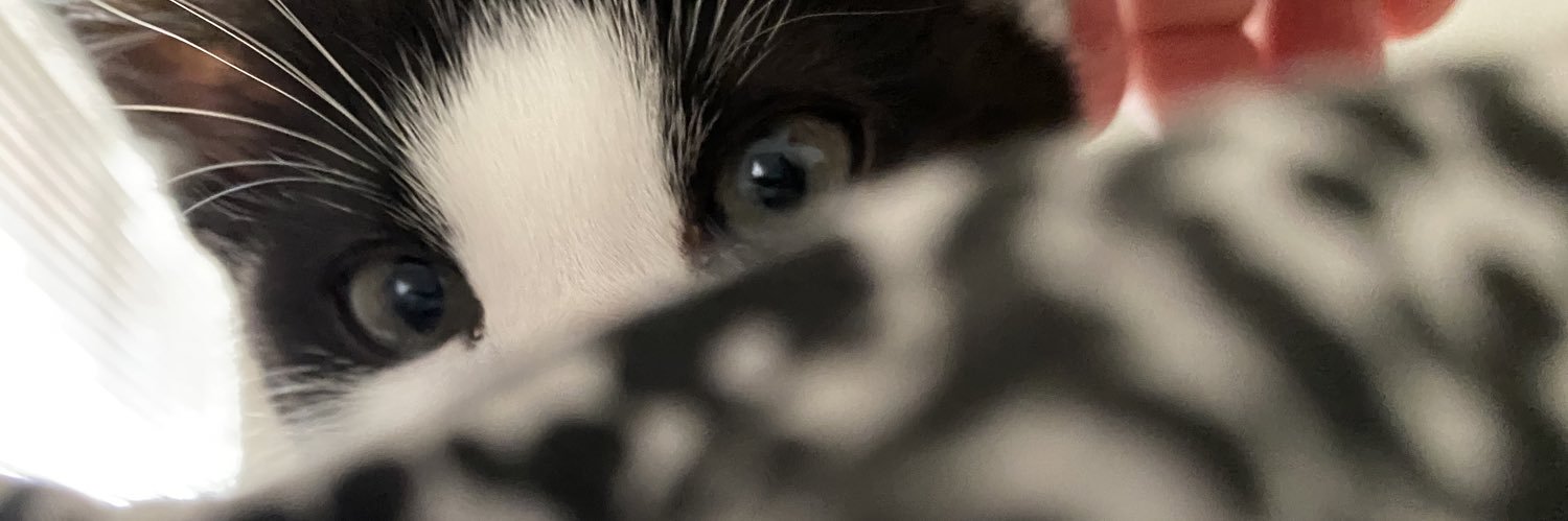 viveros_rose's profile banner image