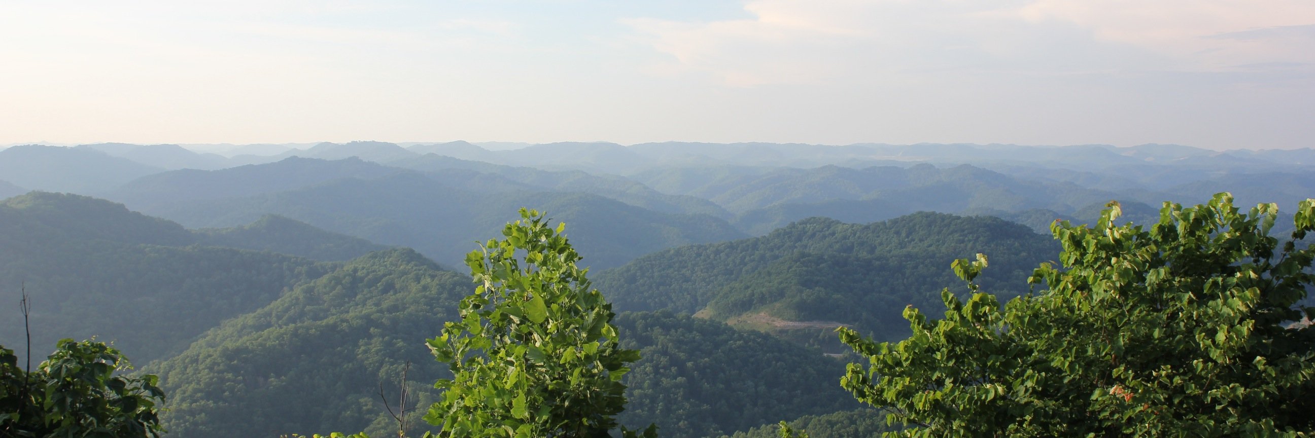 willedgreen's profile banner image