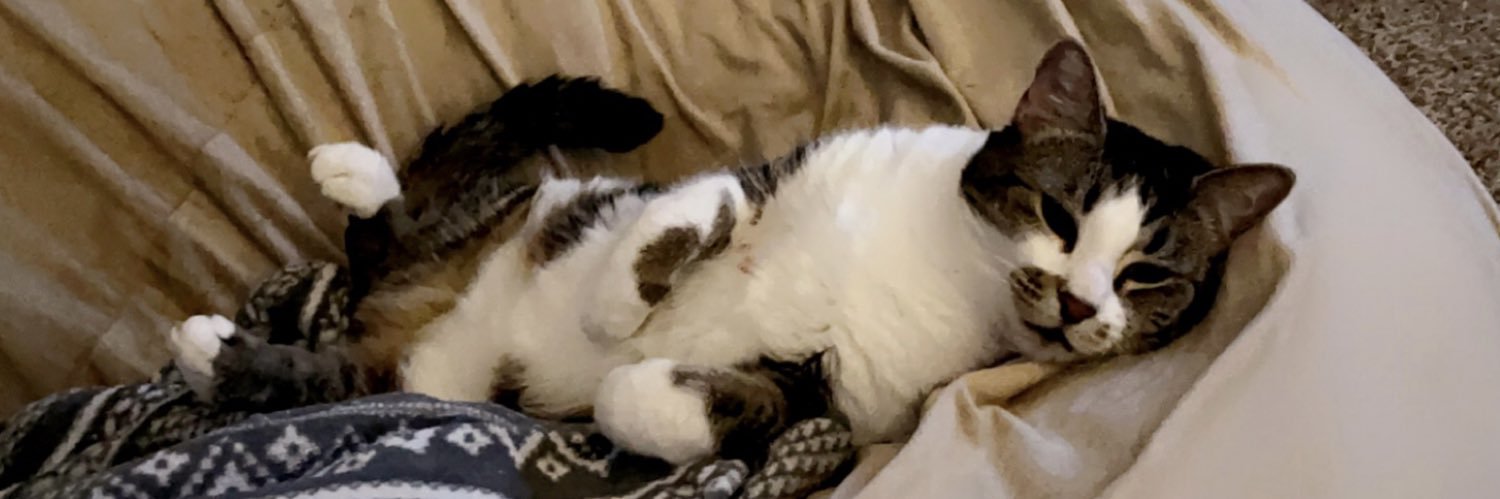 merryismeredith's profile banner image