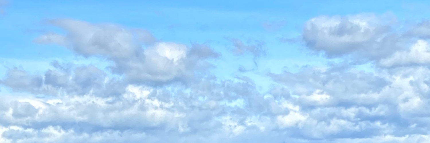xshemel's profile banner image
