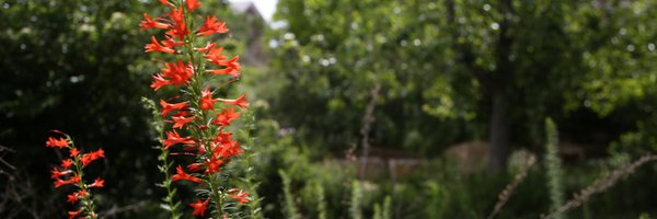 andrewk Profile Banner