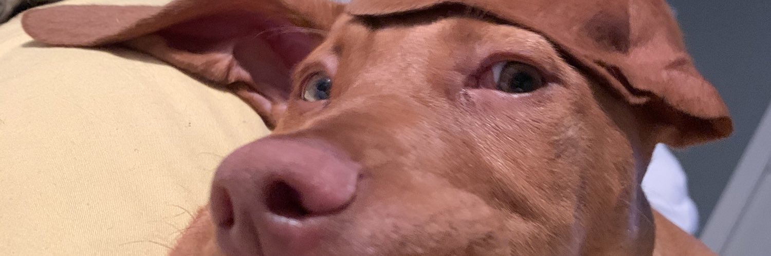 yelloowanit's profile banner image