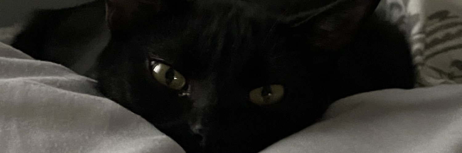 Savage_savyy's profile banner image
