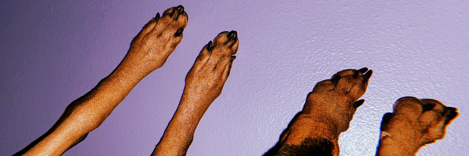 KyleeDianne97's profile banner image