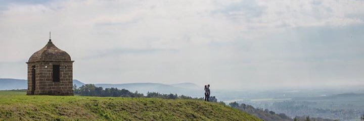 nikkeefe's profile banner image
