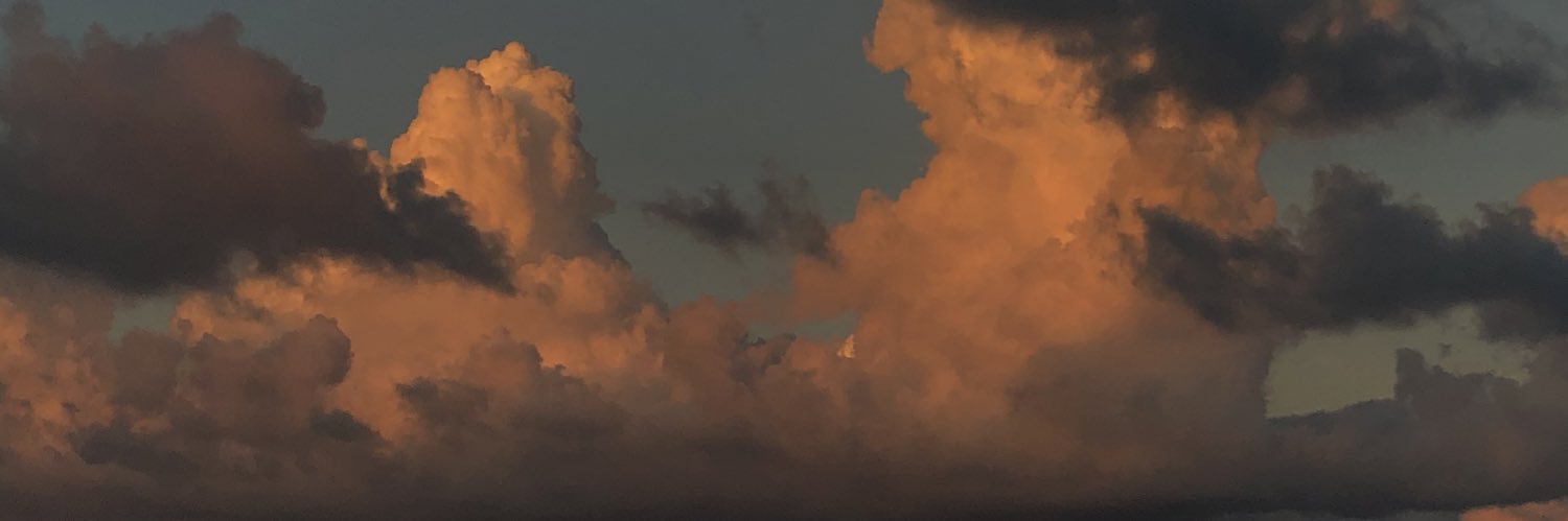 frserh's profile banner image
