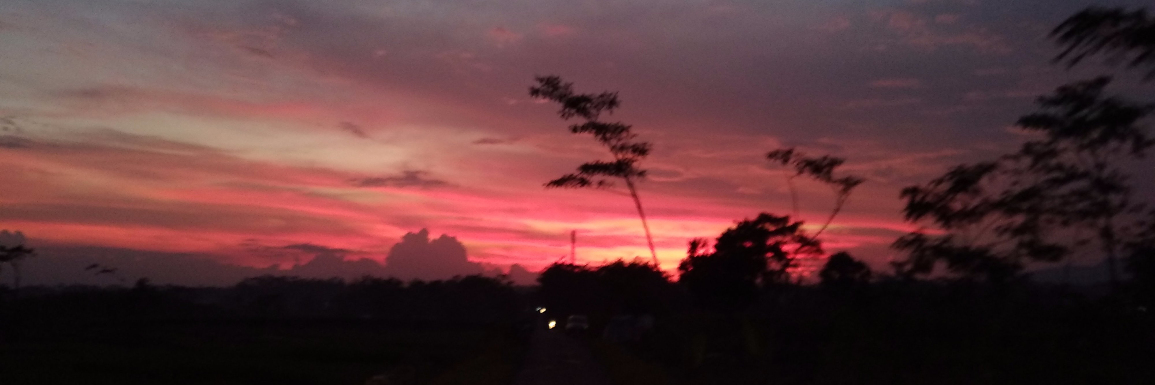 bungaa2417's profile banner image