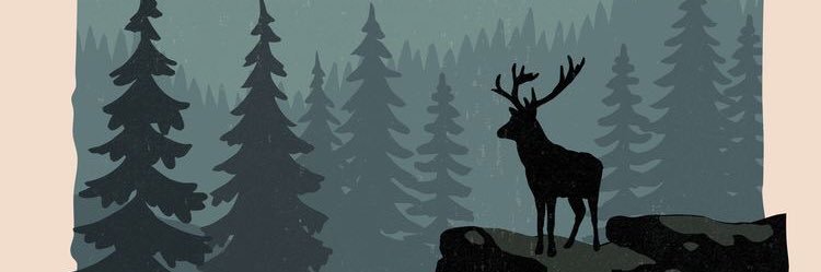 indaprl's profile banner image