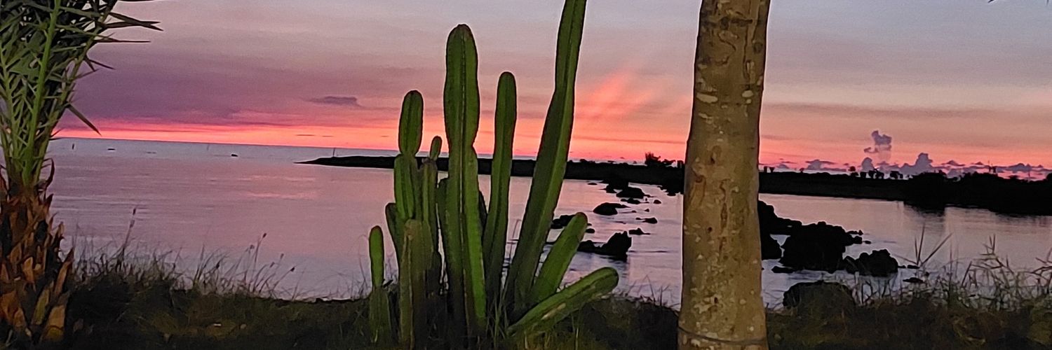 JanmaLee99's profile banner image