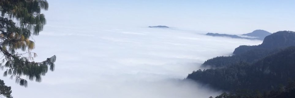Pepepp12's profile banner image