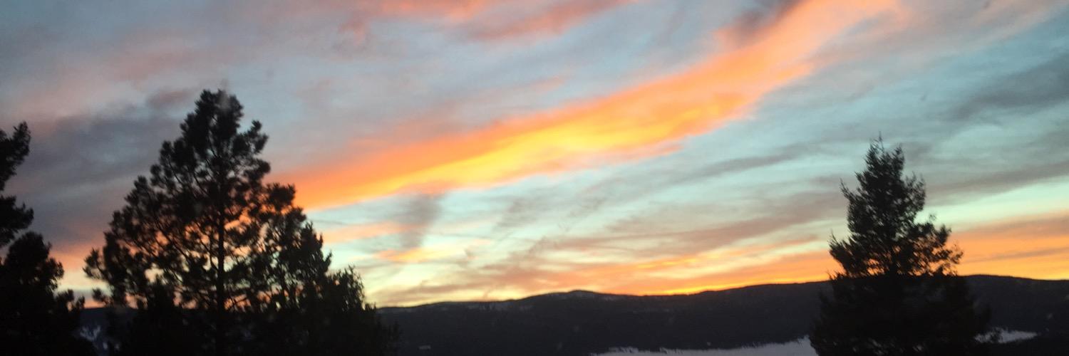 brepp4's profile banner image