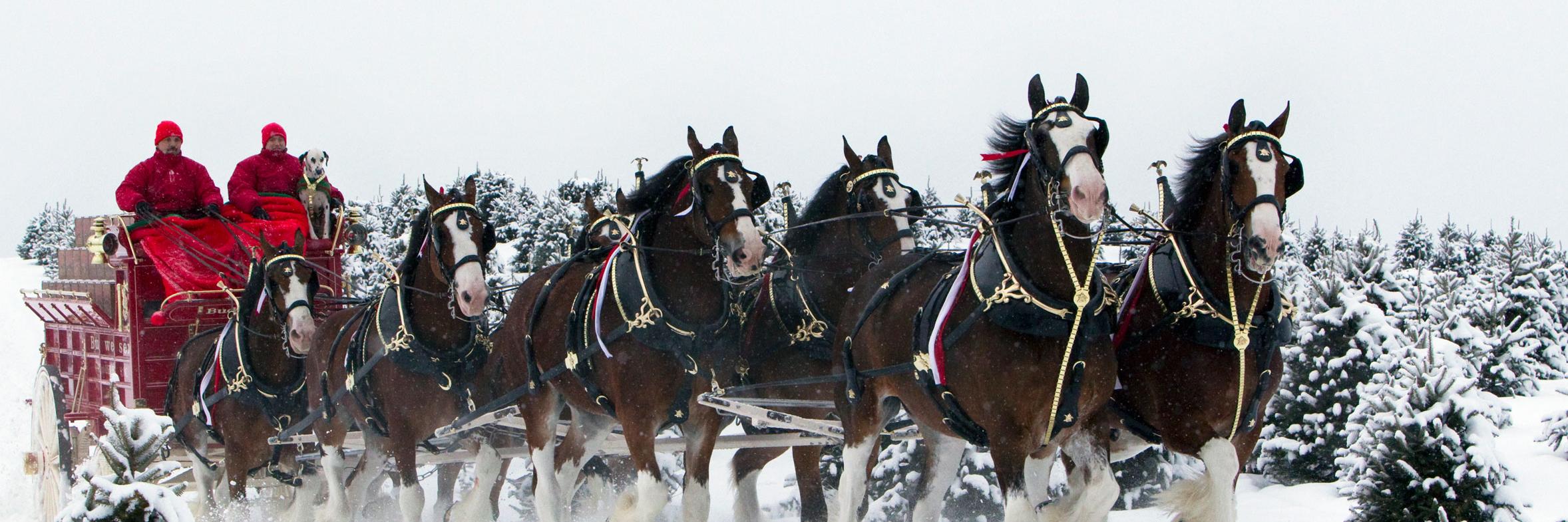 Debbie_Thomason's profile banner image