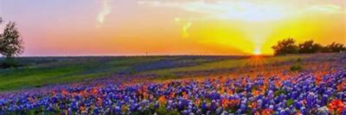 brennasmith10's profile banner image
