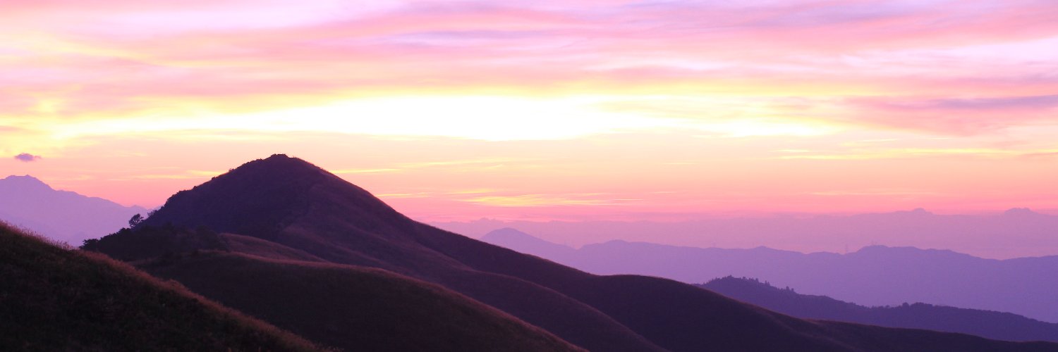 Alsion_'s profile banner image