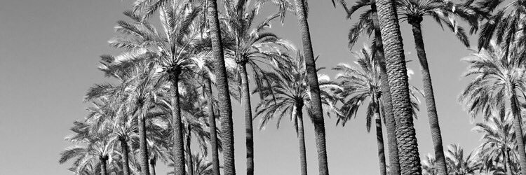atm820's profile banner image