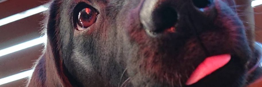 hac_mtkn's profile banner image