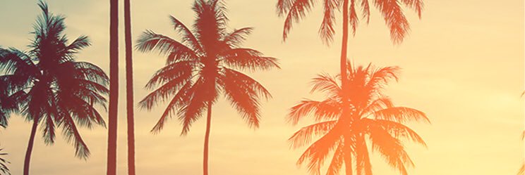 sony132469's profile banner image