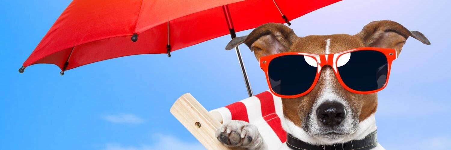 GayTrips4U's profile banner image