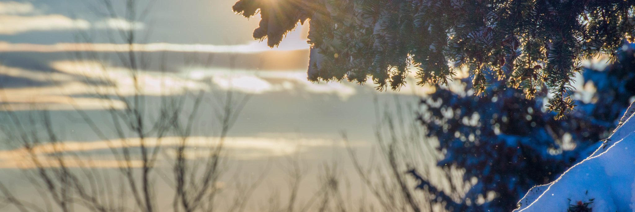 TheARTMoms's profile banner image