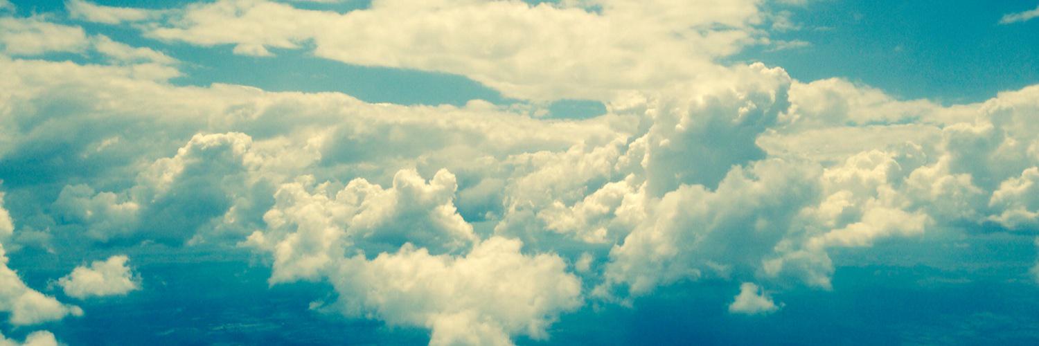OwlsHowlHoot's profile banner image