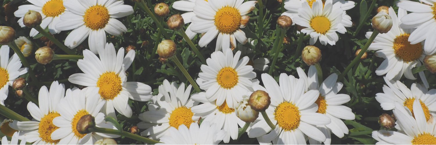 ka_mluv's profile banner image