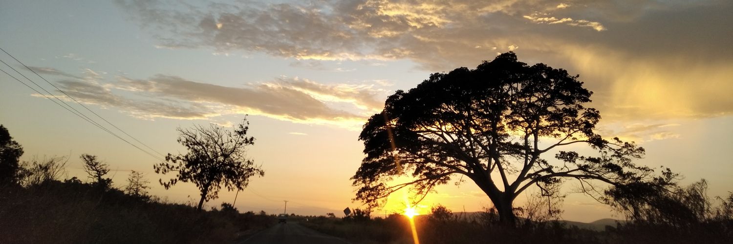 LizbbyM's profile banner image