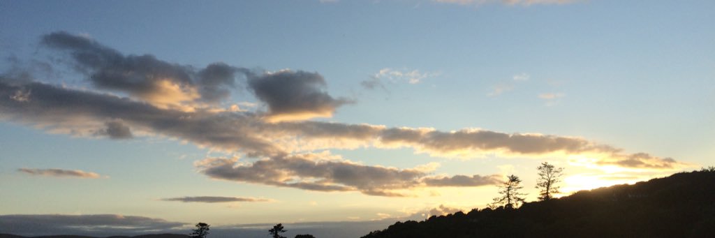 CsillaToldy's profile banner image
