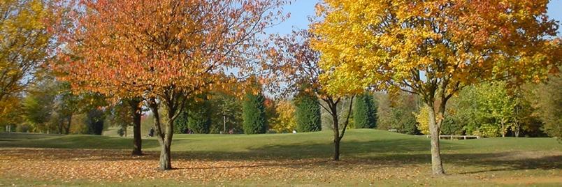 AbbotsleyGolfH's profile banner image
