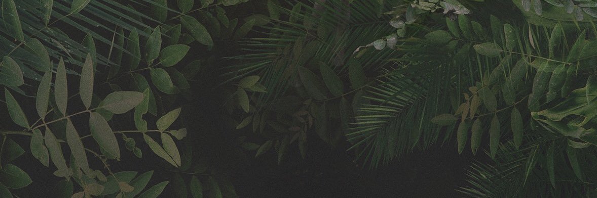 gruzdevzz's profile banner image