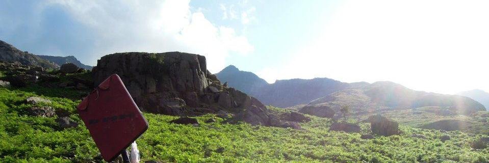 Dakshina Scott banner